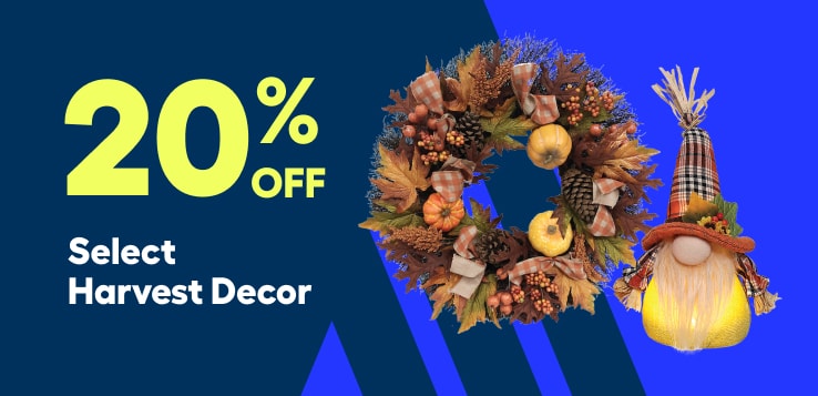 Fall Harvest decor promo