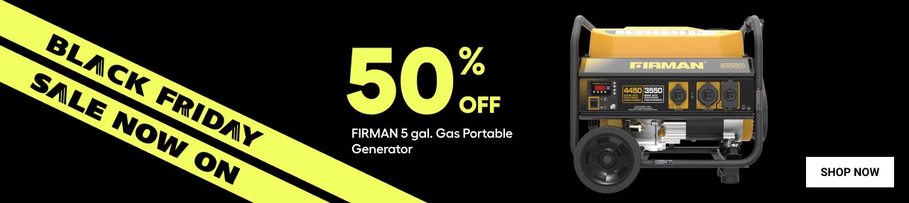 Portable generator