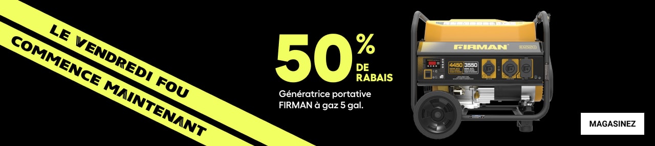 Génératrice portative