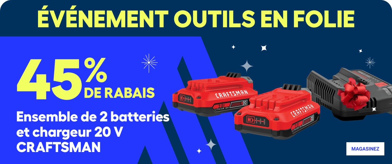 Ensemble batteries et chargeur Craftsman