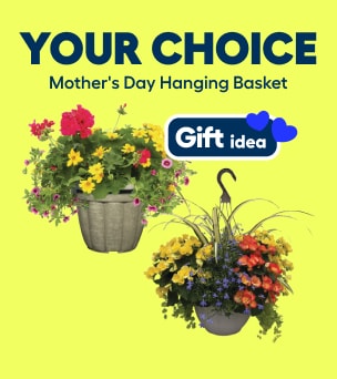 Mother's Day flower hanging basket