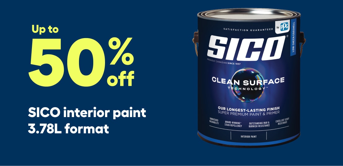 Brushes, Rollers and Trays Paint RONA