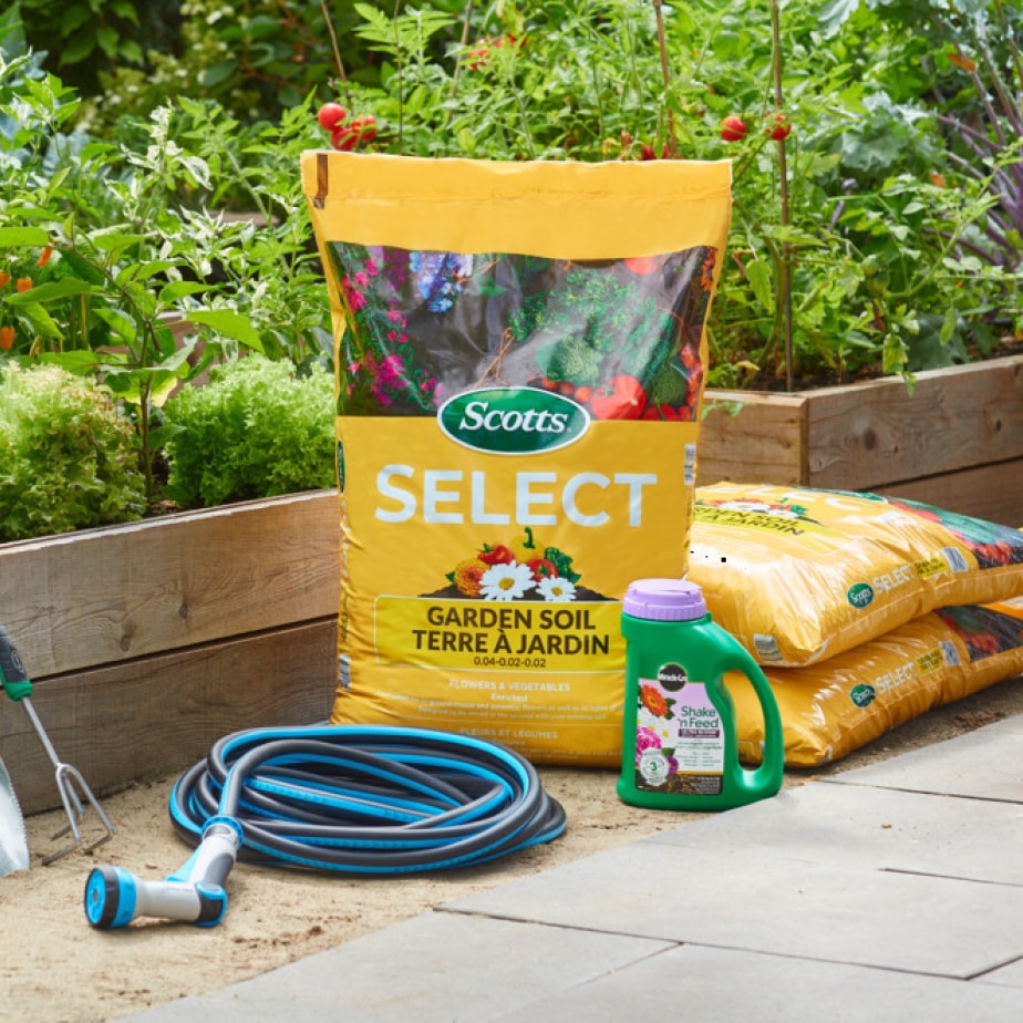Entretien de pelouse et jardin