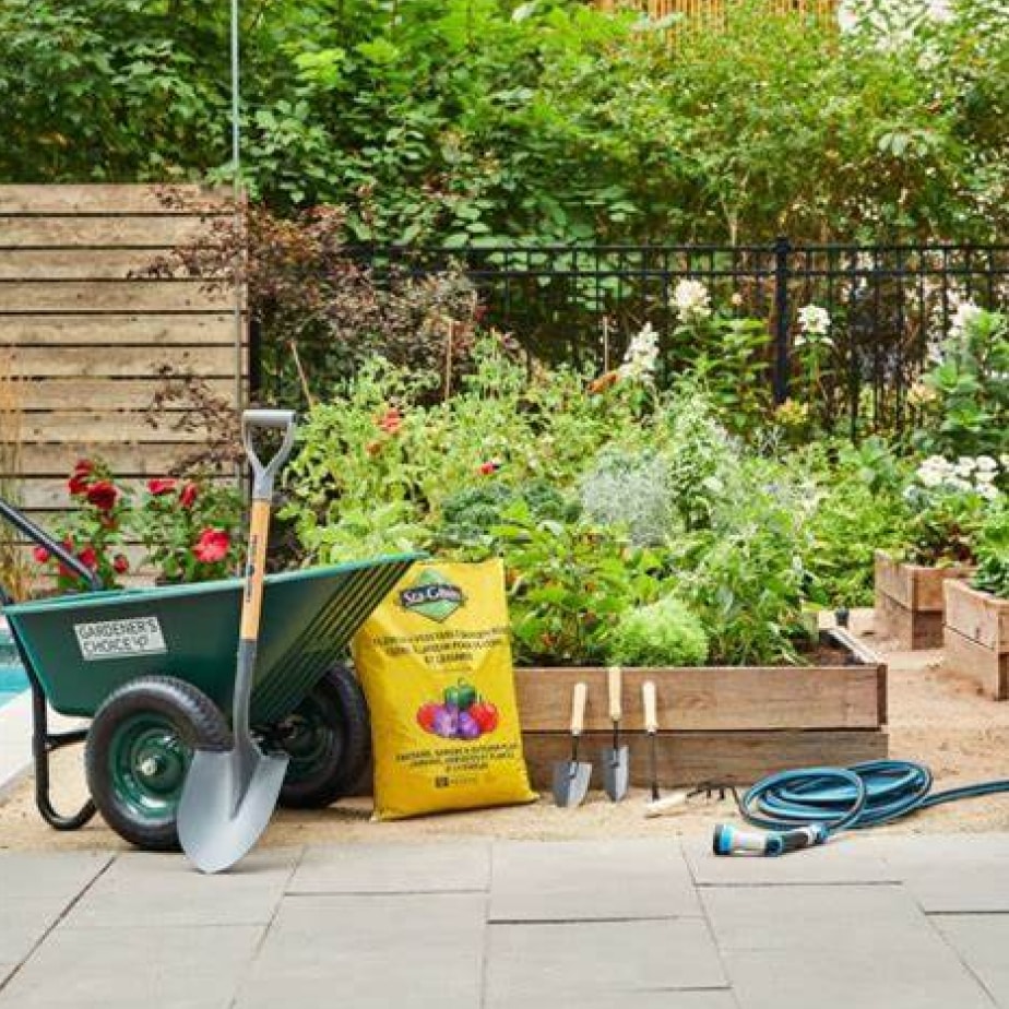 Entretien de pelouse et jardin