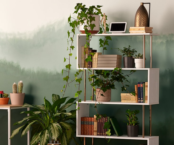 Decorative white and gold shelving unit Decorative white and gold shelving unit