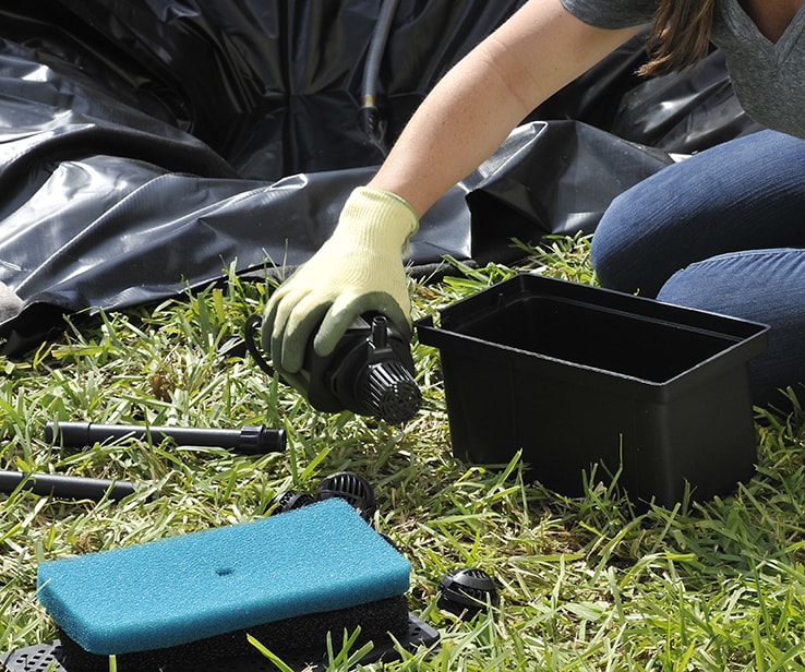 DIY Guide: How to Build a Backyard Fish Pond | RONA