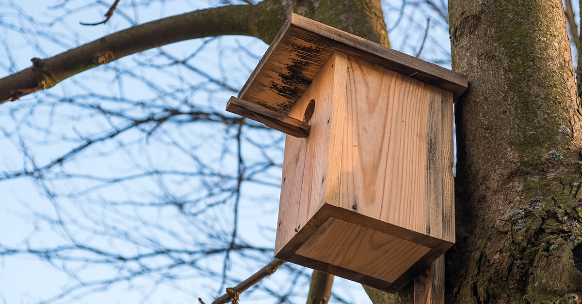 Wood bird feeder