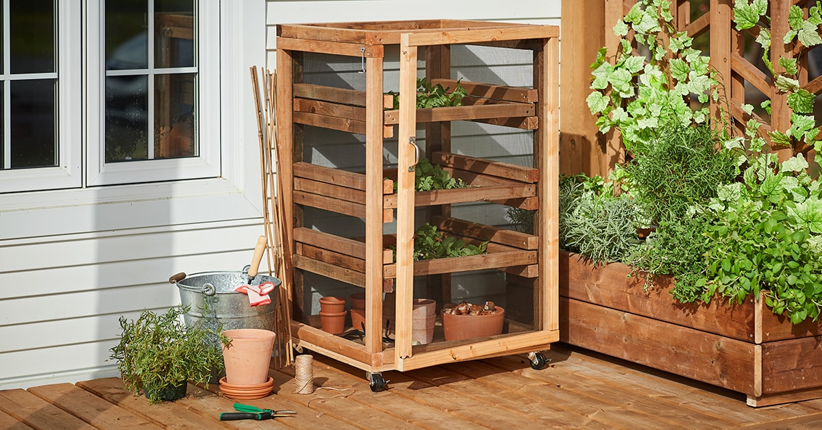How to Build an Herb Dryer
