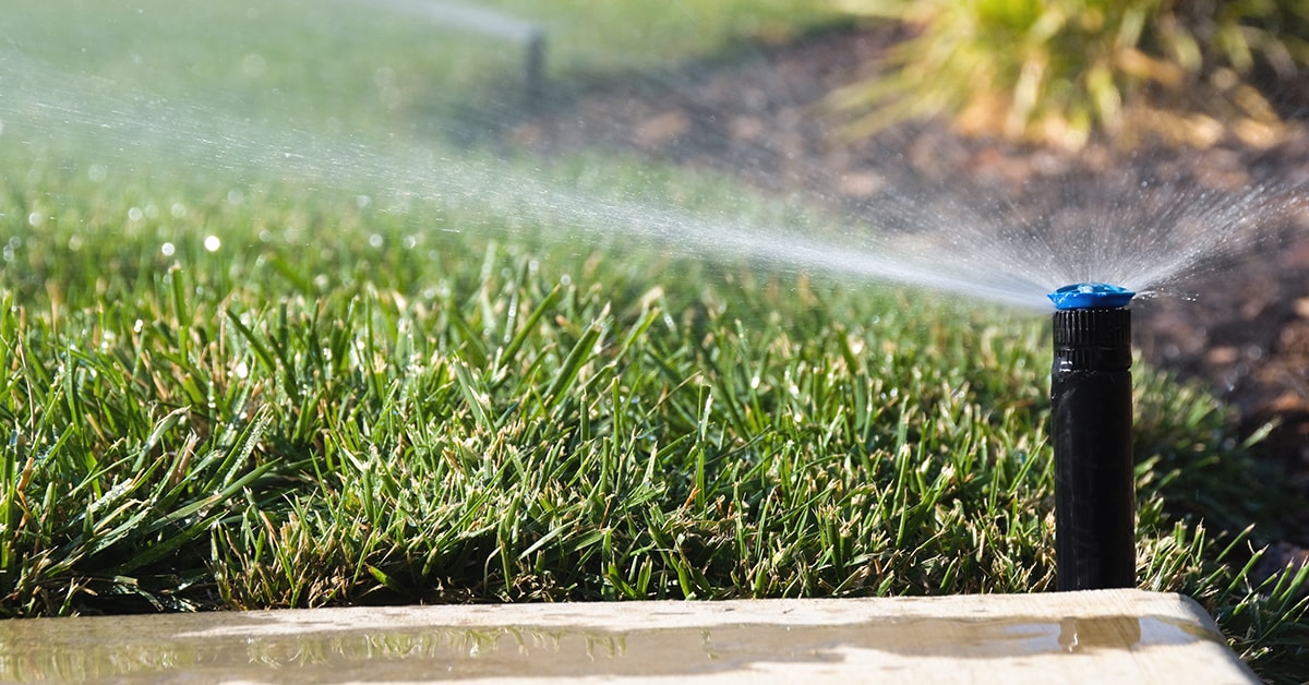 Automatic watering system with underground sprinklers Automatic watering system with underground sprinklers