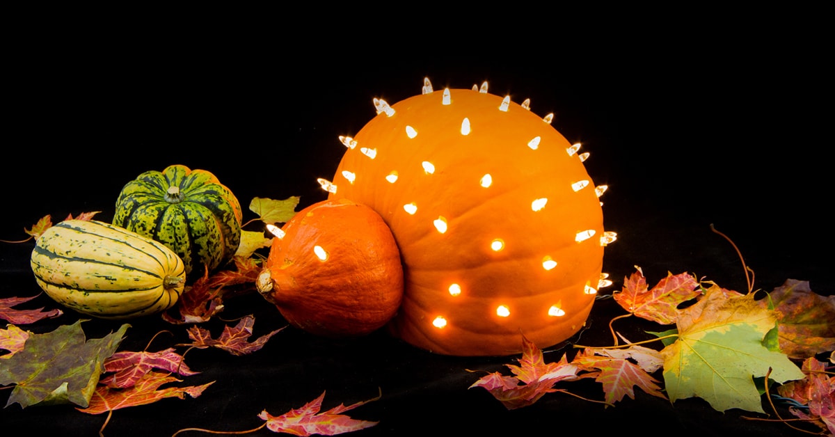 DIY Porcupine Pumpkin