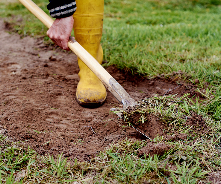 Person removing turf with a shovel