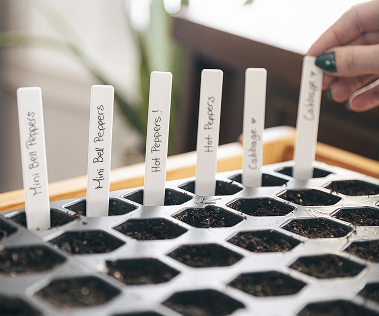 Plant tags