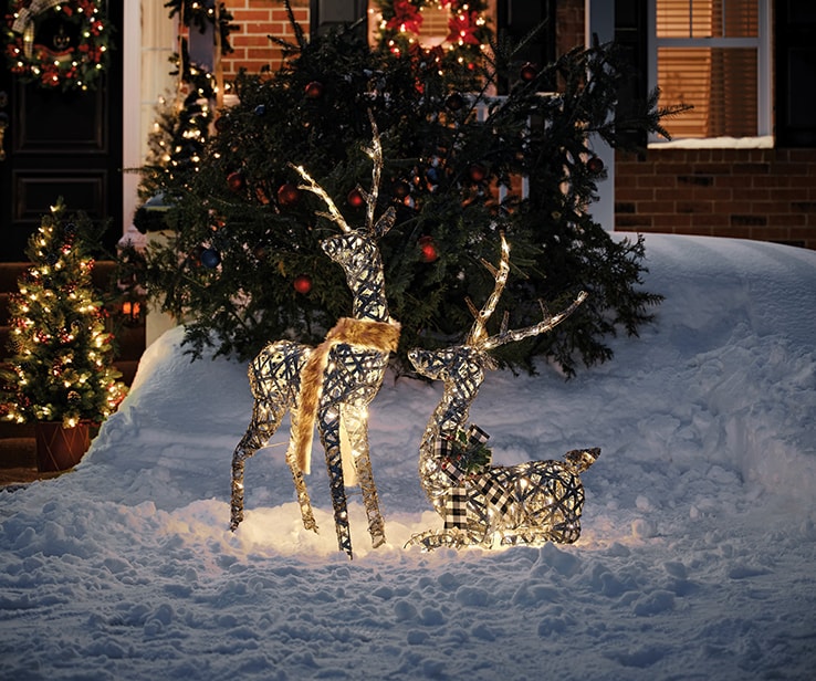 Lighted reindeers