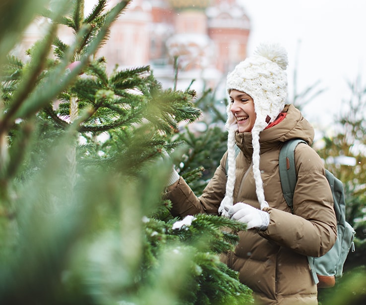 Young woman looking at a fresh Christmas tree Young woman looking at a fresh Christmas tree