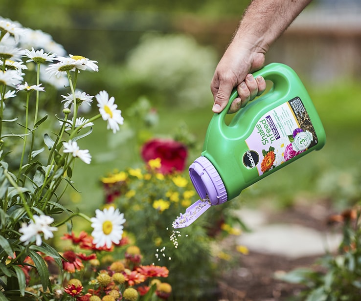 Person adding fertilizer to a flower bed