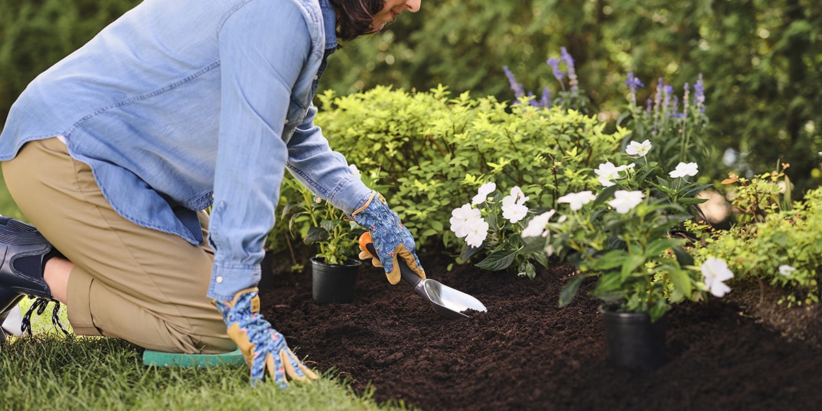 Person tending a garden Person tending a garden