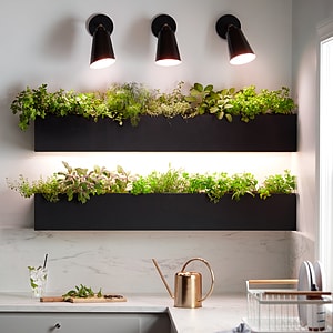 Grow lights over wall planters with herbs in a kitchen