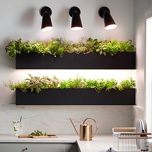 Bulb on sale for kitchen
