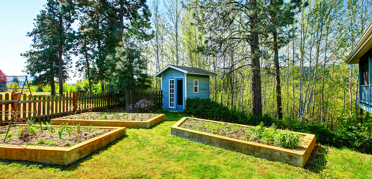 Backyard shed behind a vegetable garden Backyard shed behind a vegetable garden
