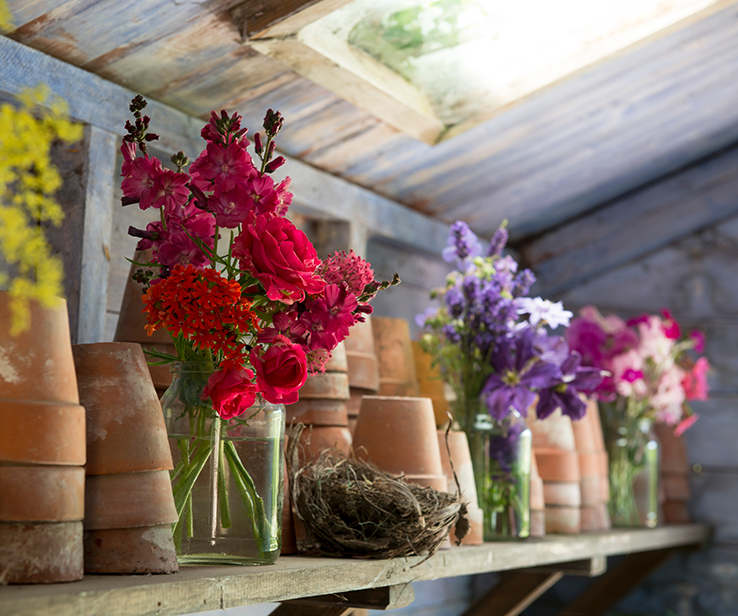 Gardening corner in a shed Gardening corner in a shed
