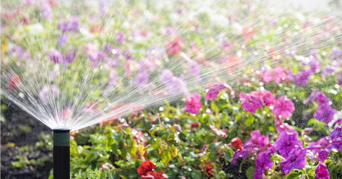 Planning an irrigation system