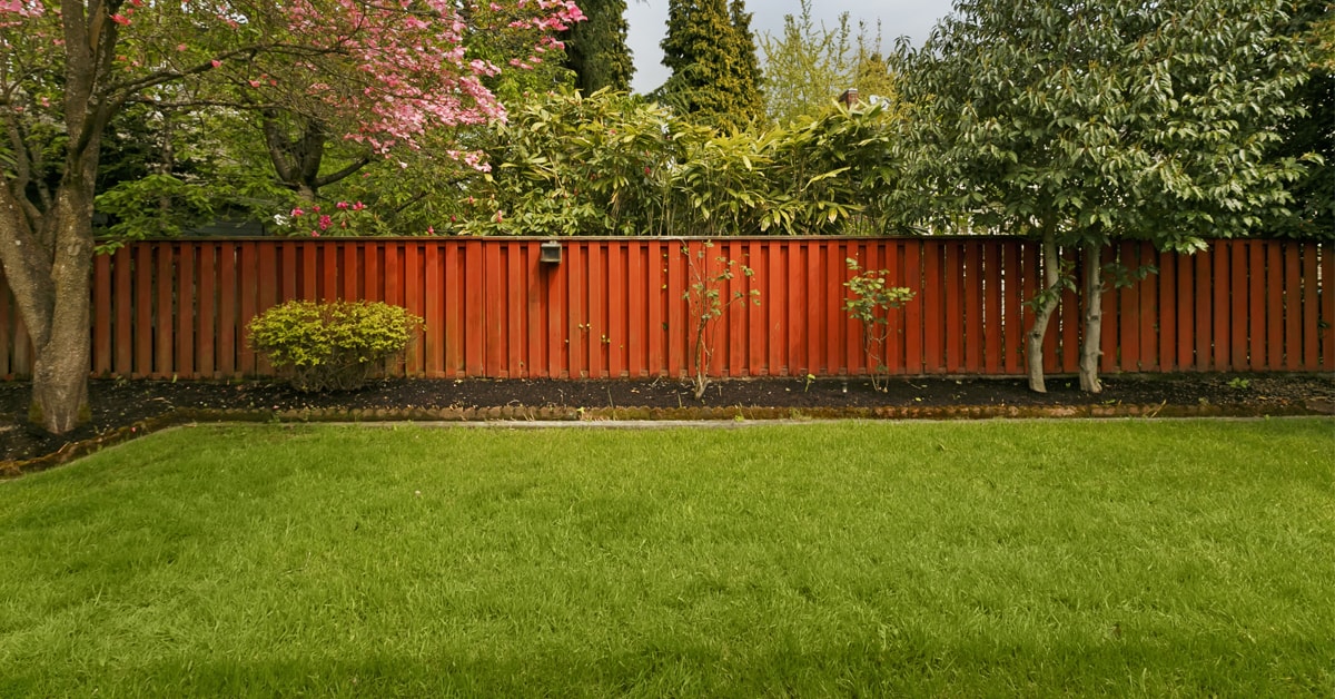 Clôture de Jardin - Construire une Palissade en Bois avec Treillis