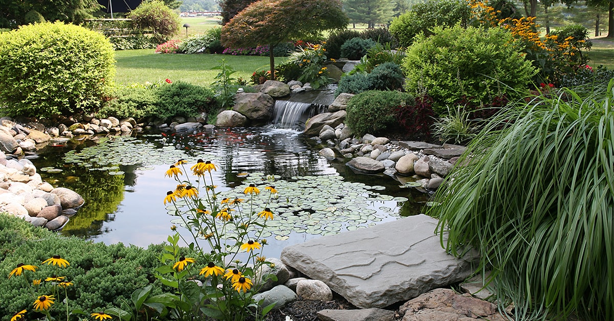Laying out a water garden