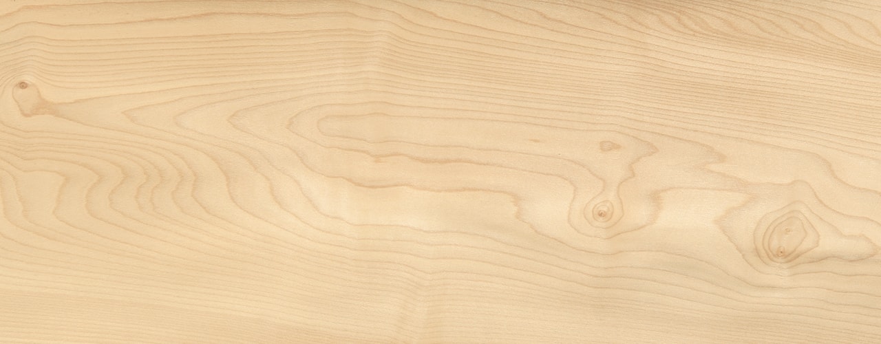 Close up of a maple plank with visible grain Close up of a maple plank with visible grain