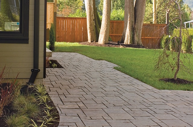 Clean paved pathway behind a house Clean paved pathway behind a house