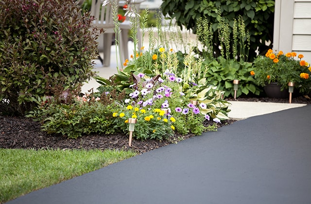 Freshly restored asphalt driveway Freshly restored asphalt driveway