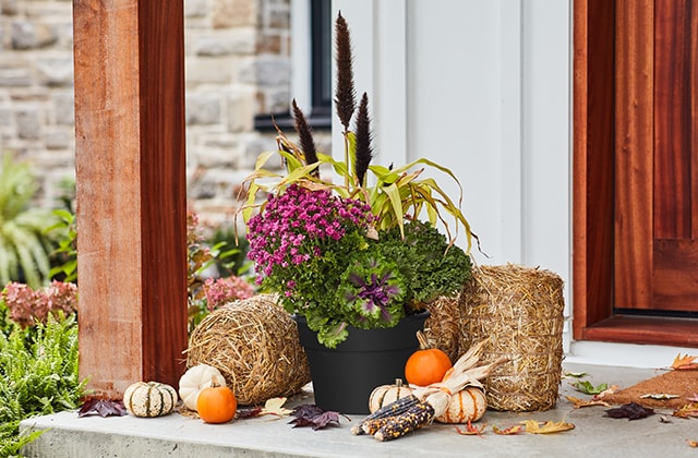 Fall floral arrangement on a porch