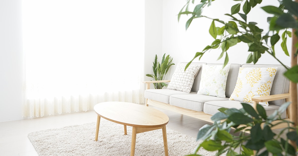 Solutions sans produits chimiques pour l’entretien de la maison