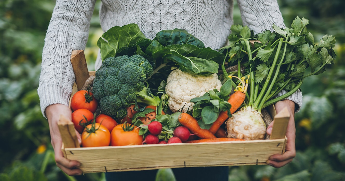 Woman holding a basket full of garden vegetables