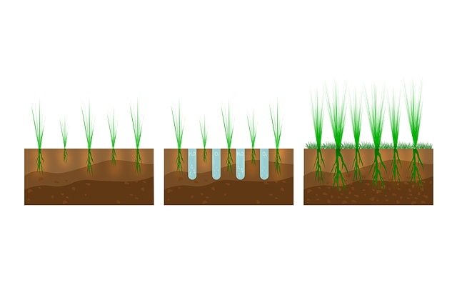Images showing a soil before and after aeration