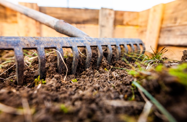 Person cleaning a garden bed using a rake