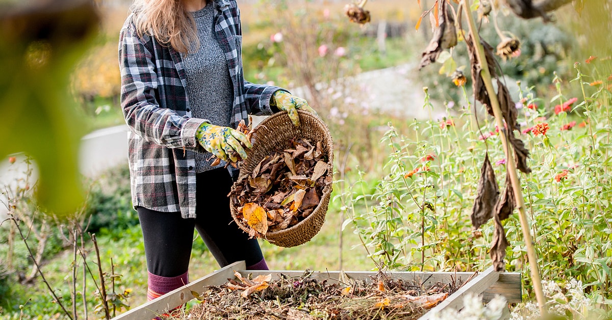 Fall Garden Care in 8 Simple Steps