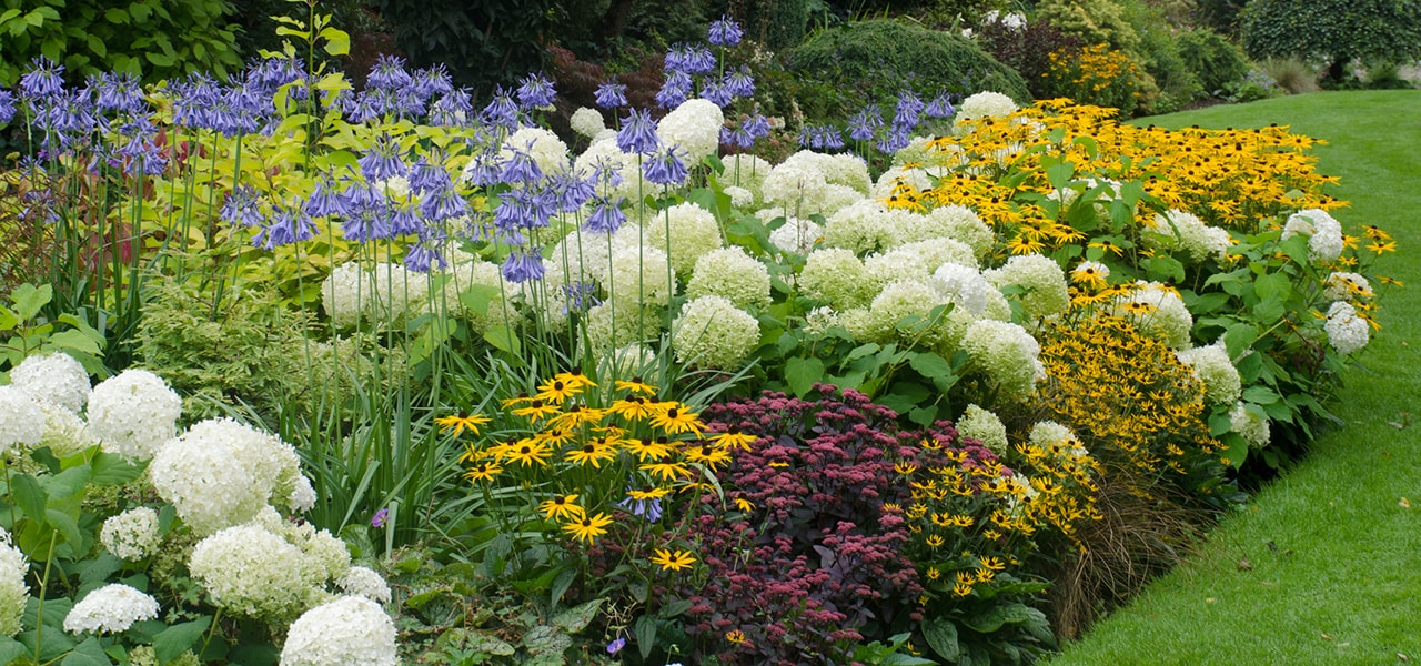 Colourful flower bed 
