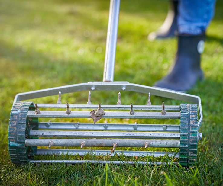 Person using a lawn aerator Person using a lawn aerator
