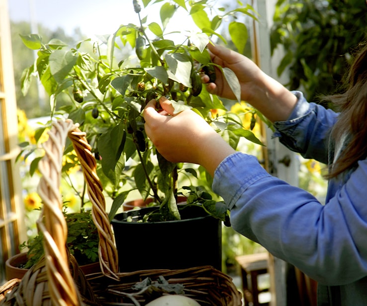 Adoptez la genouillère de jardin Jardin et Saisons