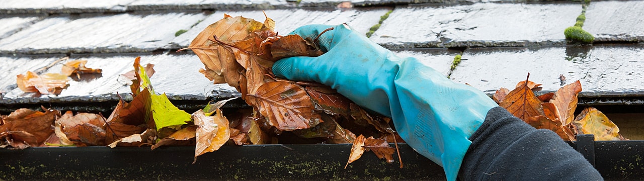 Person removing fallen leaves from gutters
