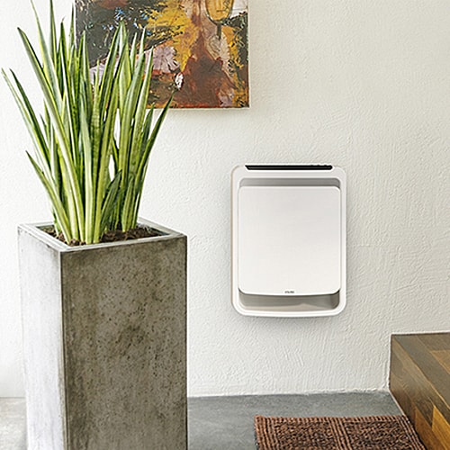 A white wall heater next to a plant