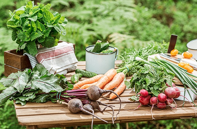 Assortment of freshly harvested vegetables on a picnic table Assortment of freshly harvested vegetables on a picnic table