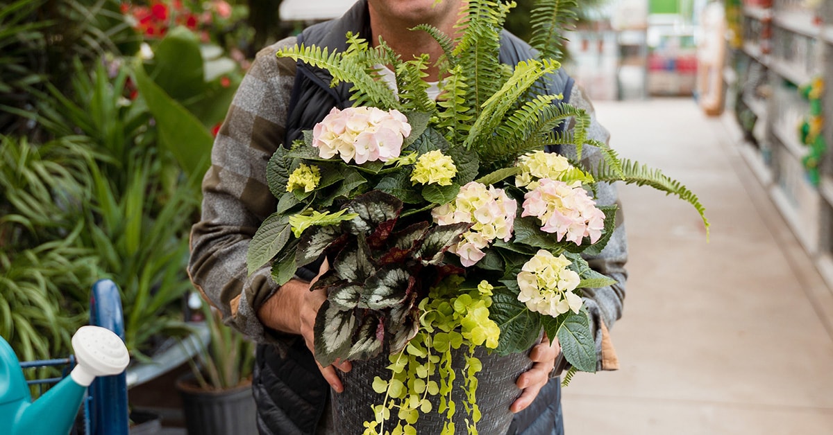 Homme tenant une jardinière remplie de fleurs Homme tenant une jardinière remplie de fleurs