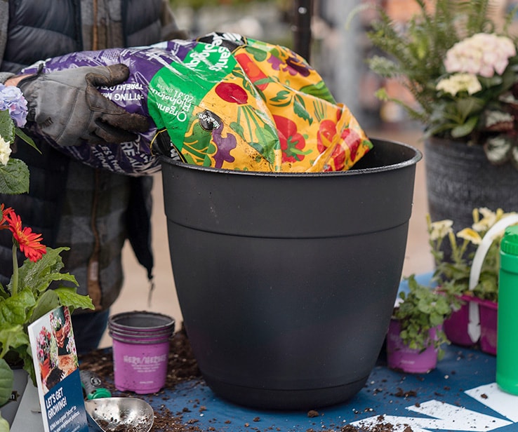 Jardinage en pot : créer un arrangement floral extérieur