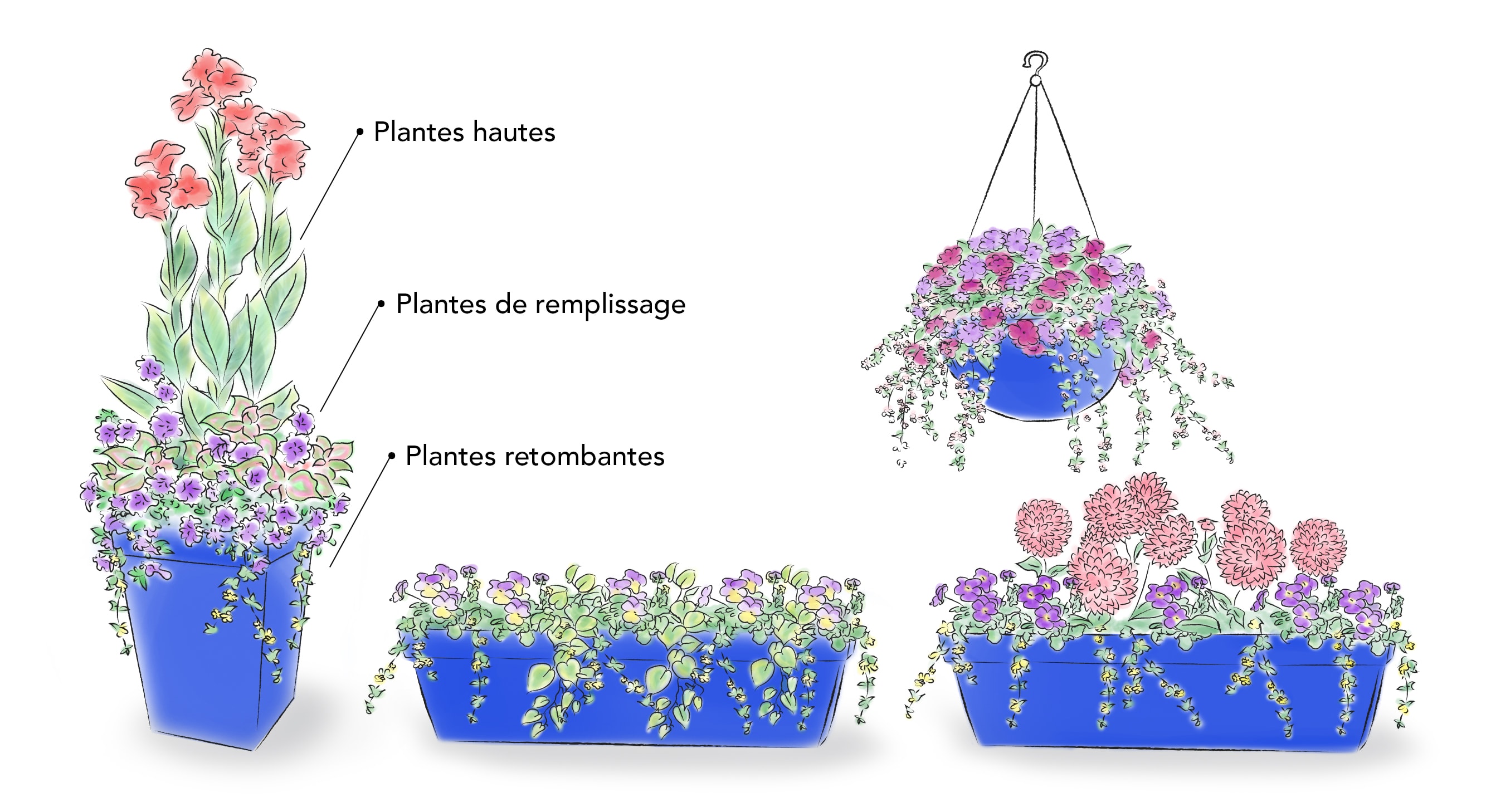 Schéma de plusieurs arrangements floraux en pot Schéma de plusieurs arrangements floraux en pot