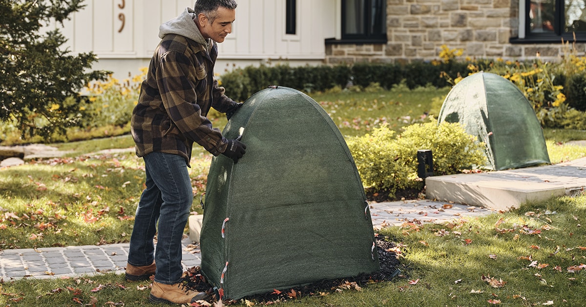 Protection hivernale des arbres, arbustes et plantes