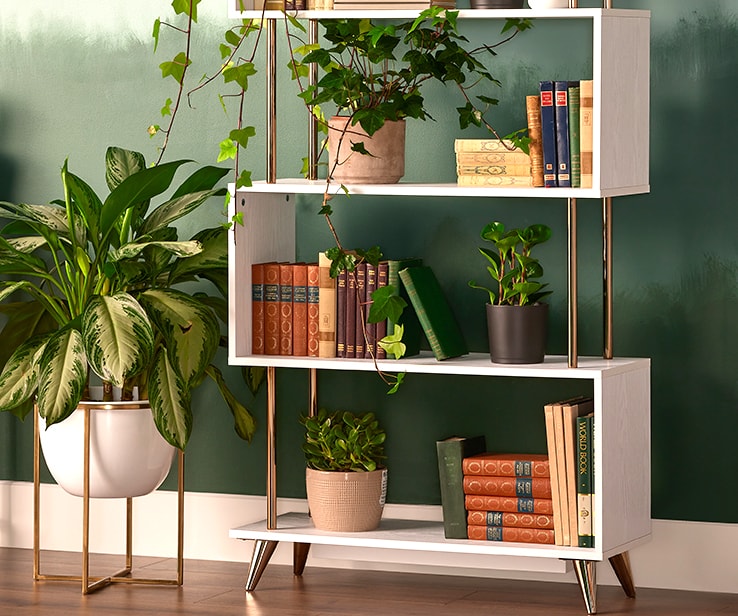 Decorative shelf with several house plants
