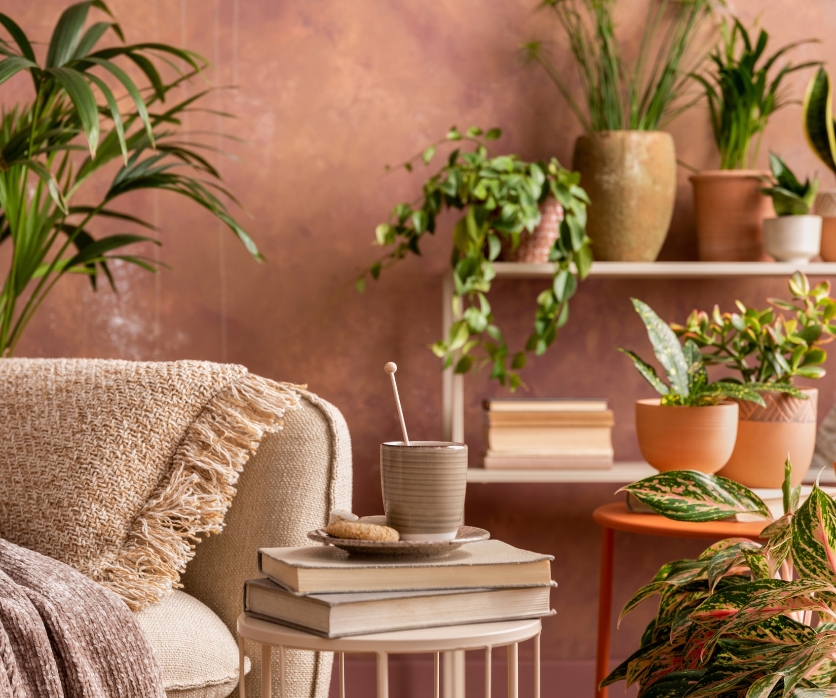 Cozy living room with a terracotta wall