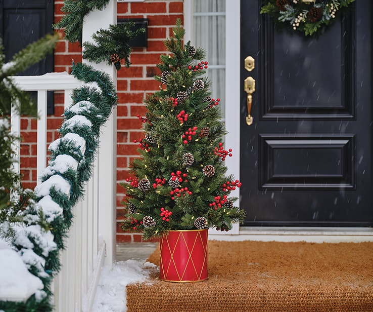 Single frosted potted tree