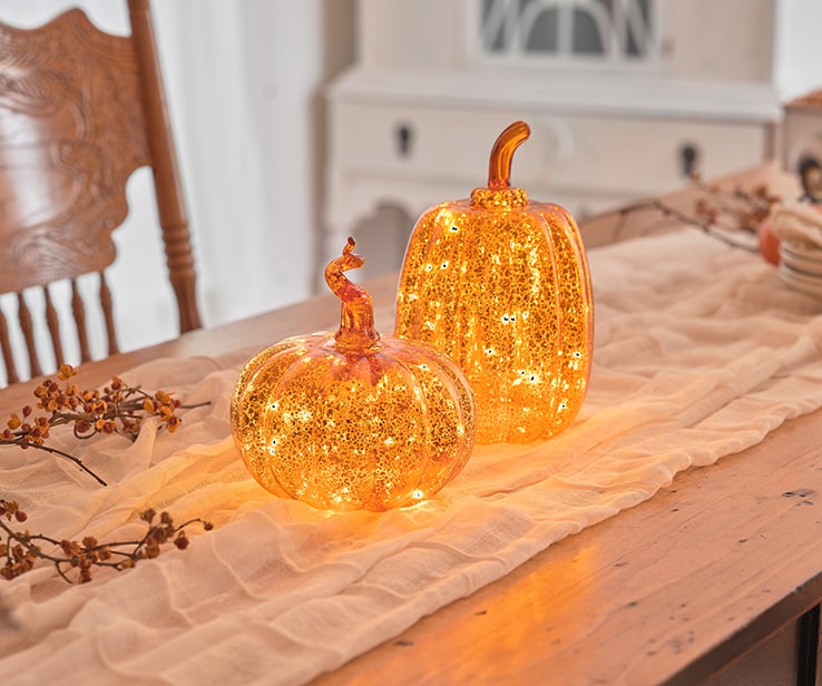 Ensemble de deux citrouilles décoratives